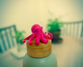 Little Octopus