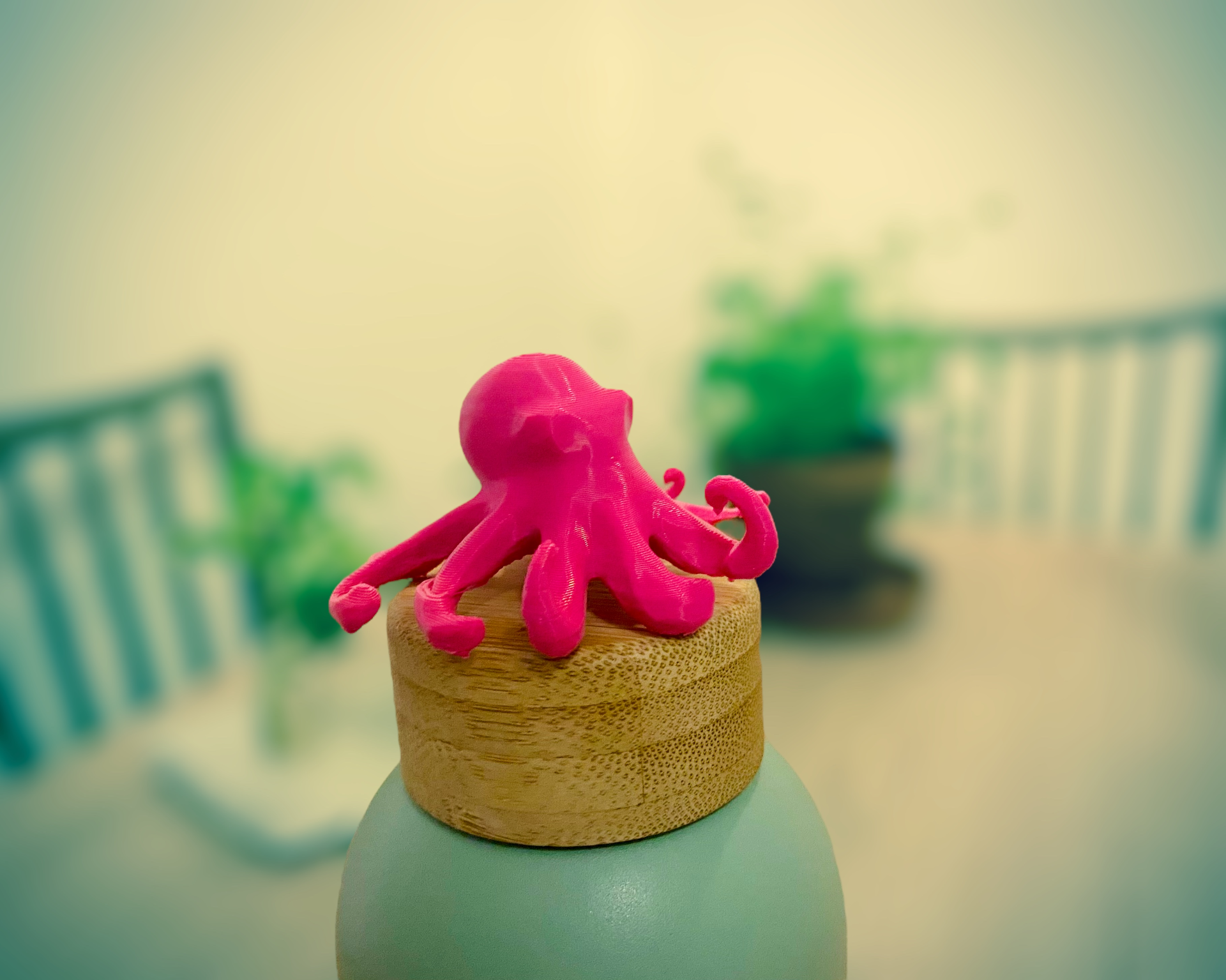 Little Octopus