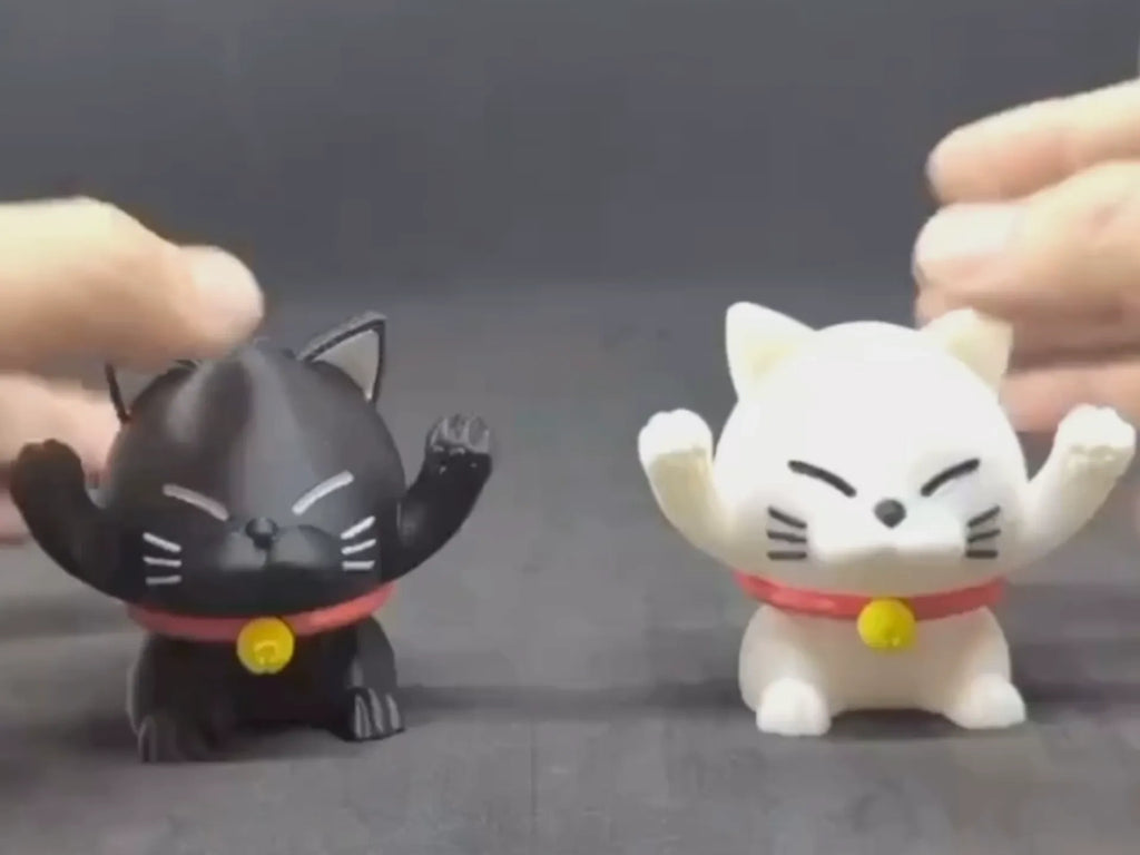 螺旋猫