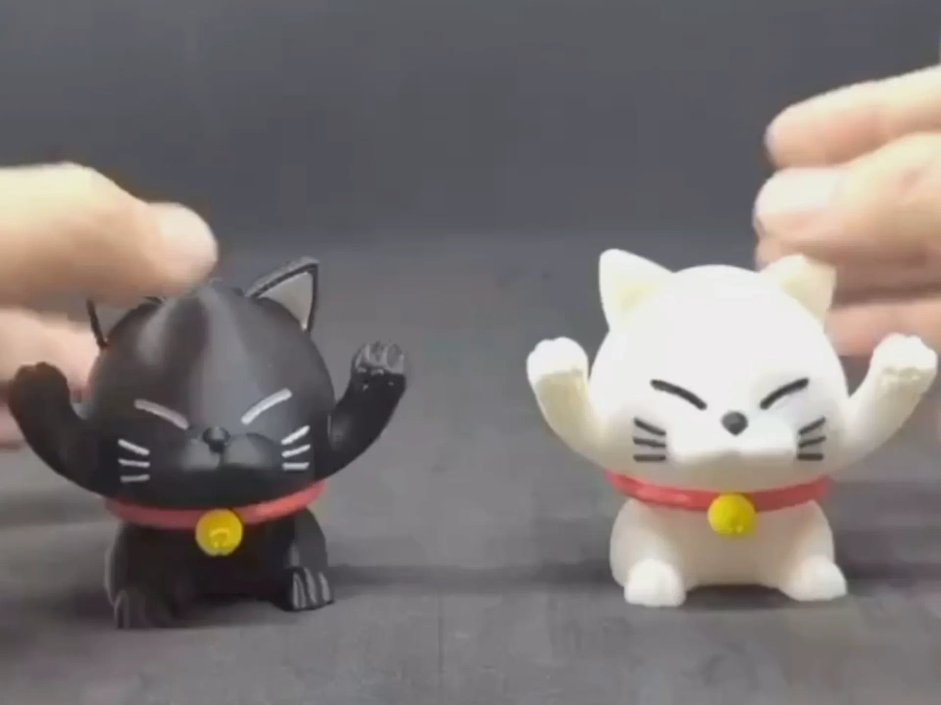 螺旋猫