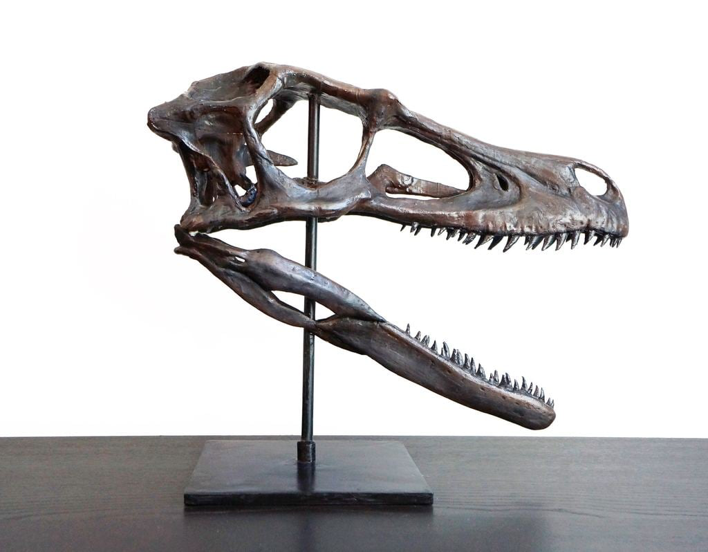 Deinonychus (Raptor) skull