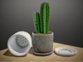Rock vase