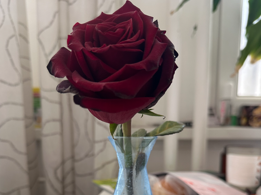 just Vase