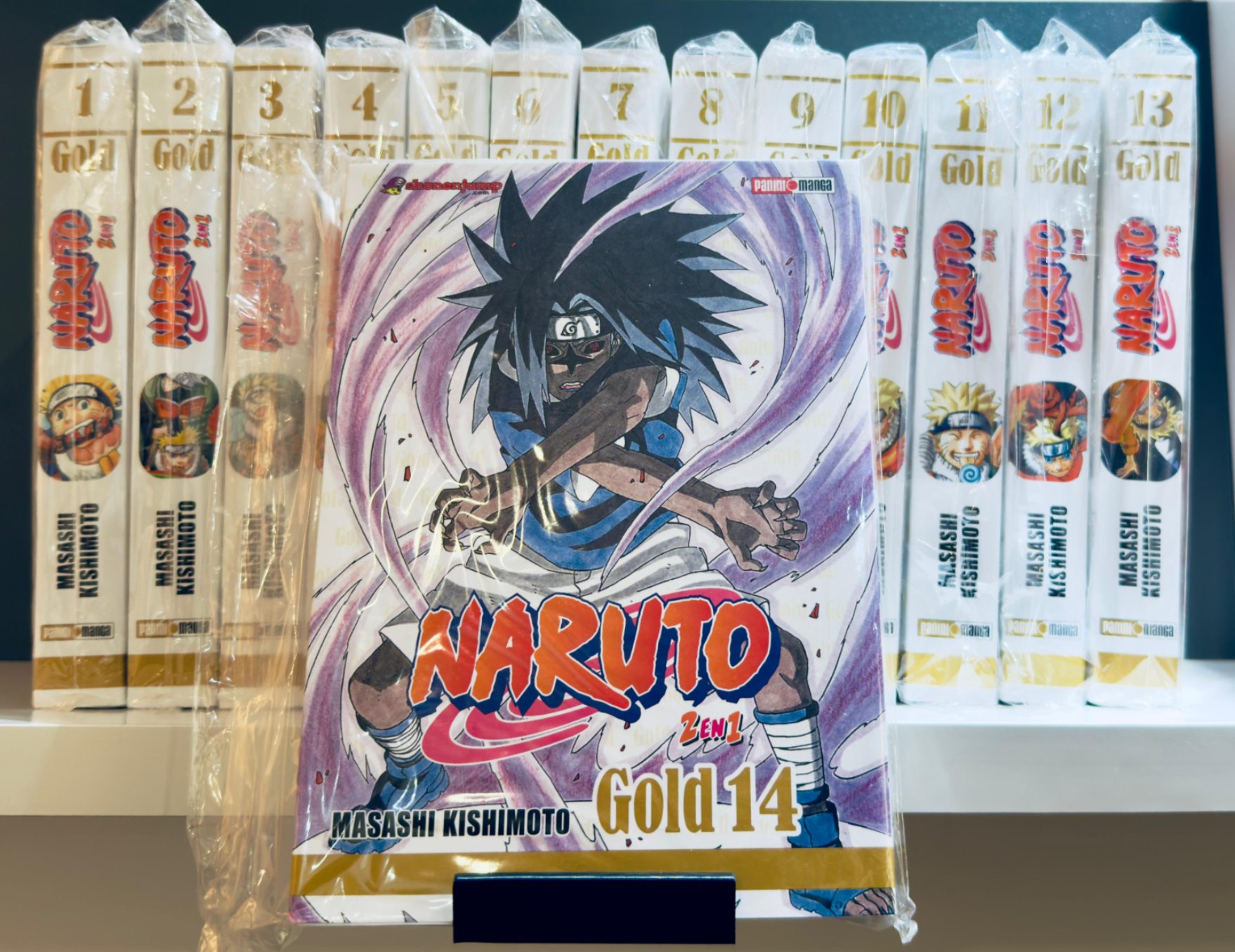 Manga Shelf Display