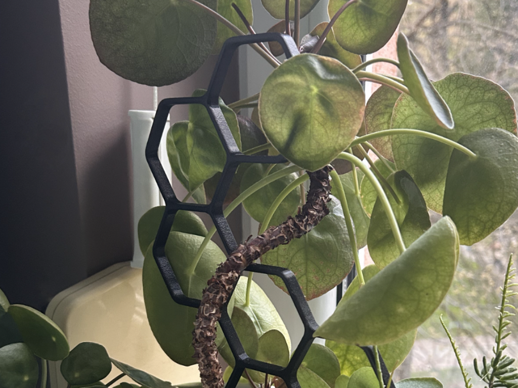 Fuzzy Plant Support / Trellis