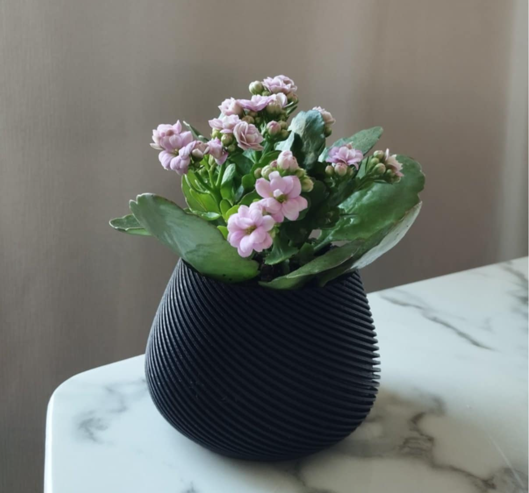 Plant pot
