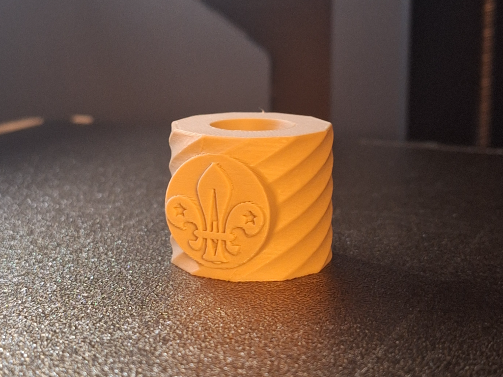 Scout Woggle twisted