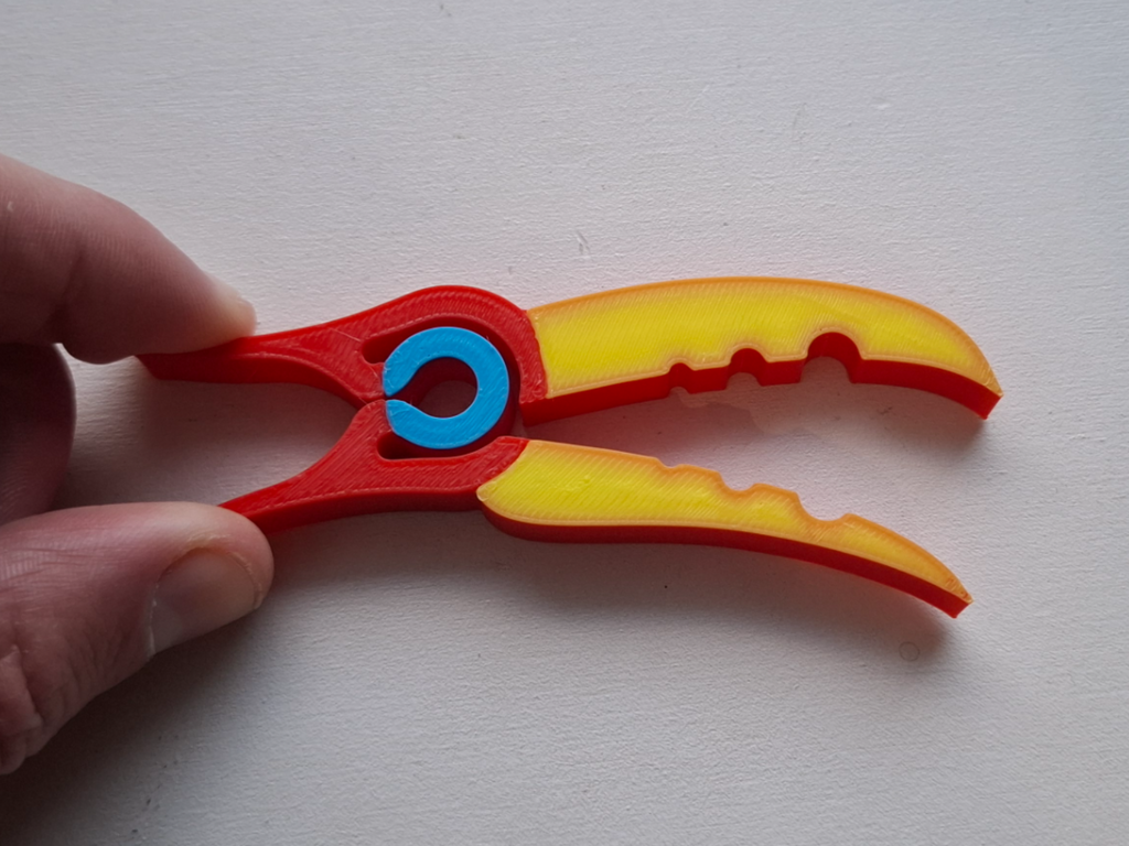 Toucan bird clip
