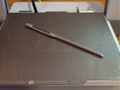 Giant Darning Needle