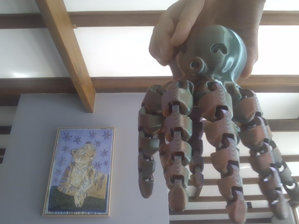 giant octopus