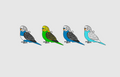 Budgie Parrot Keychains