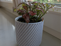 Plant pot