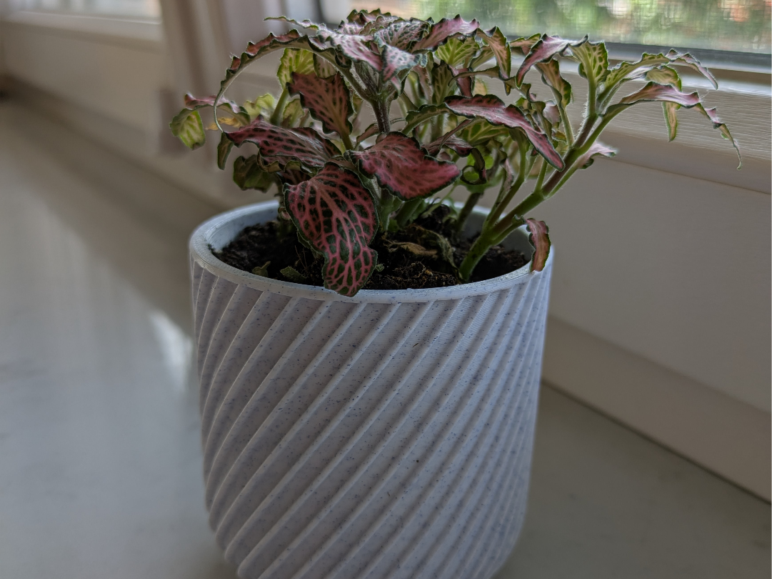 Plant pot