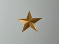 5 Pointed Star