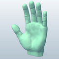 Simple Hand