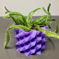 Crystal Plant Pot