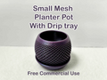 Propagation mesh planter pot