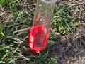 Rain gauge holder