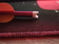 Crossbow bolts coche