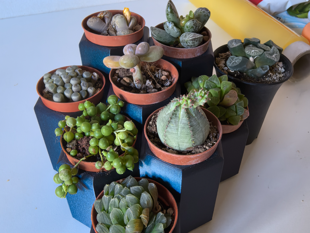 SUCCULENT PALNT POT