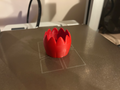 Tulip tea light