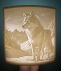 wolf