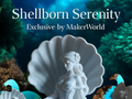 Shellborn Serenity