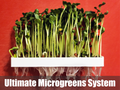 Ultimate Microgreens System