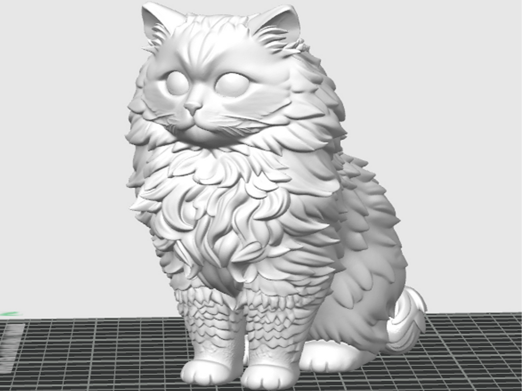 hairy cat