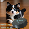 Brushes For Your Pet