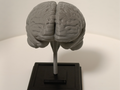 Brain on a stand