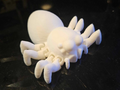 Articulated Jumping Spider