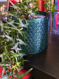 Planter v6