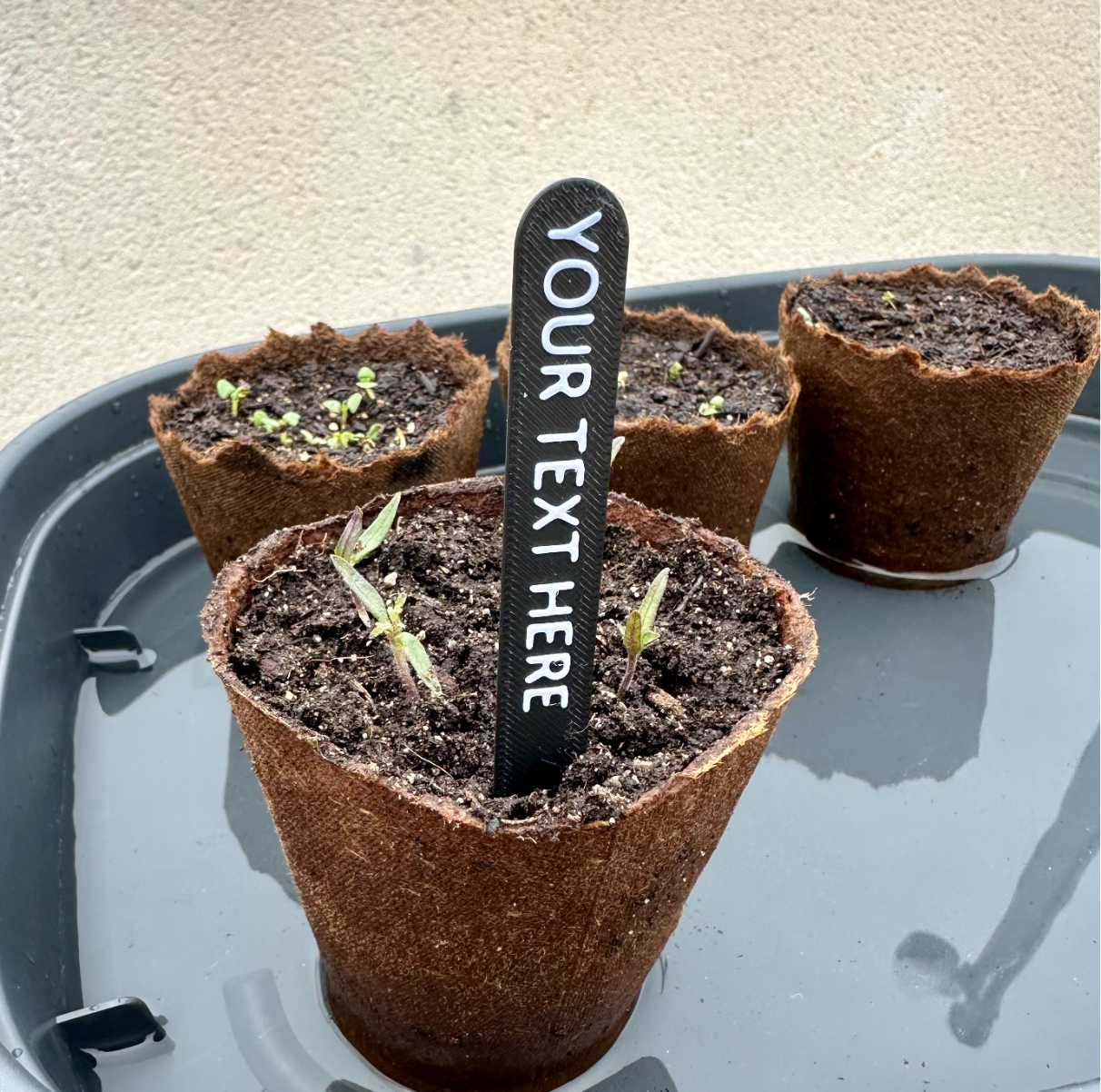 Custom plant name tag