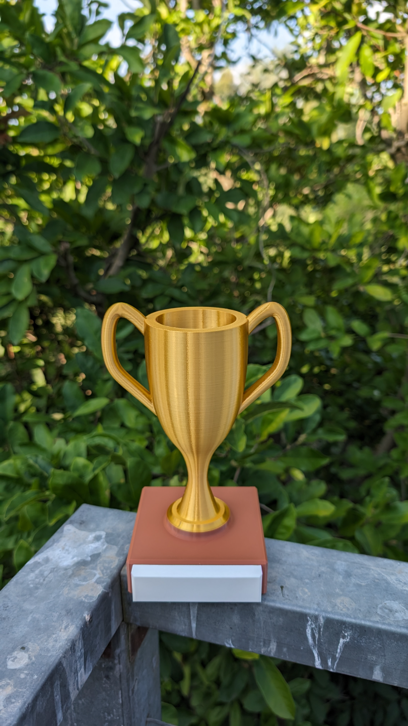 Customisable Trophy