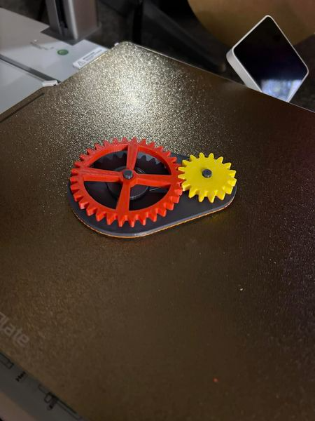 Spur Gear