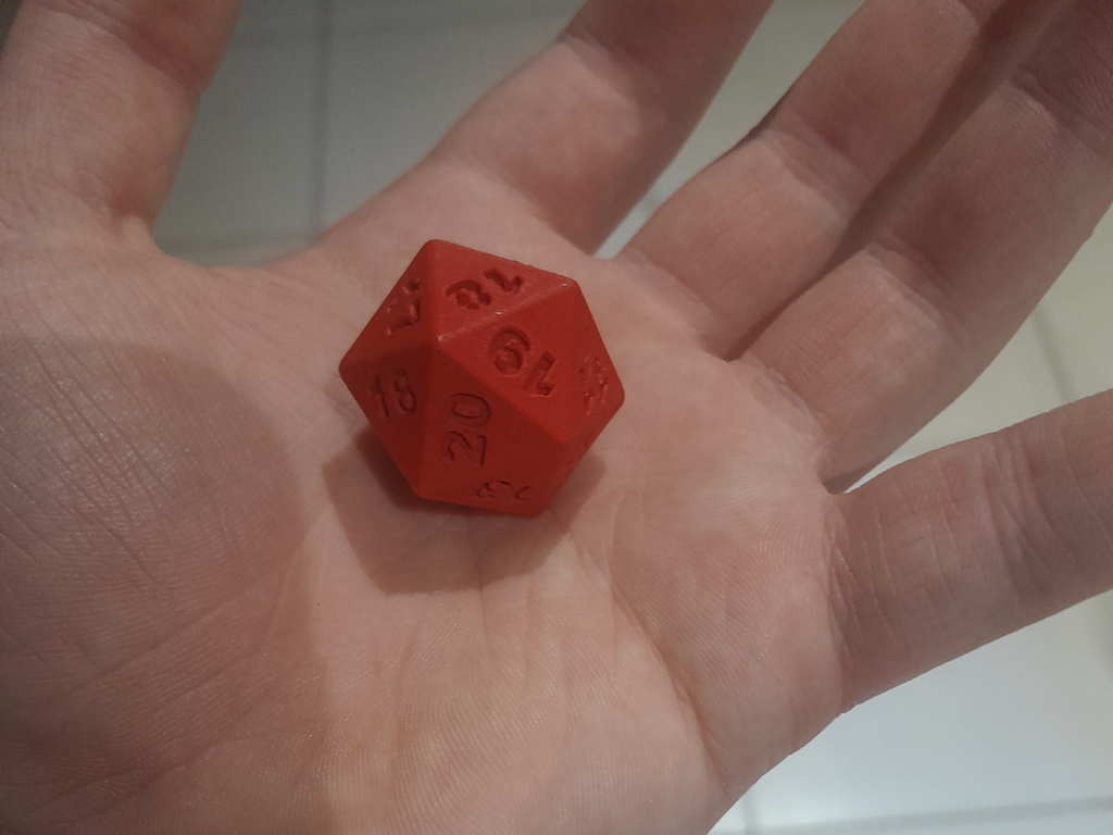 D20 100% infill 0.08mm layers