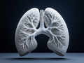 Human lung