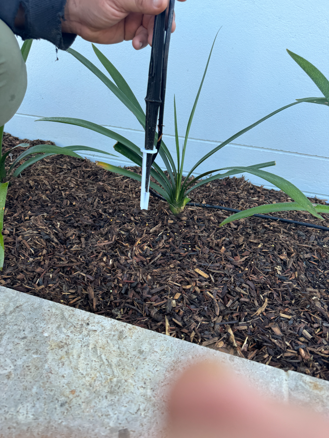 Mini Irrigation stake