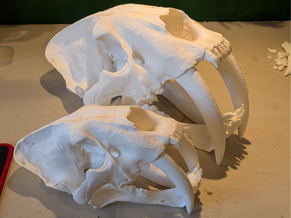 Simildon skull
