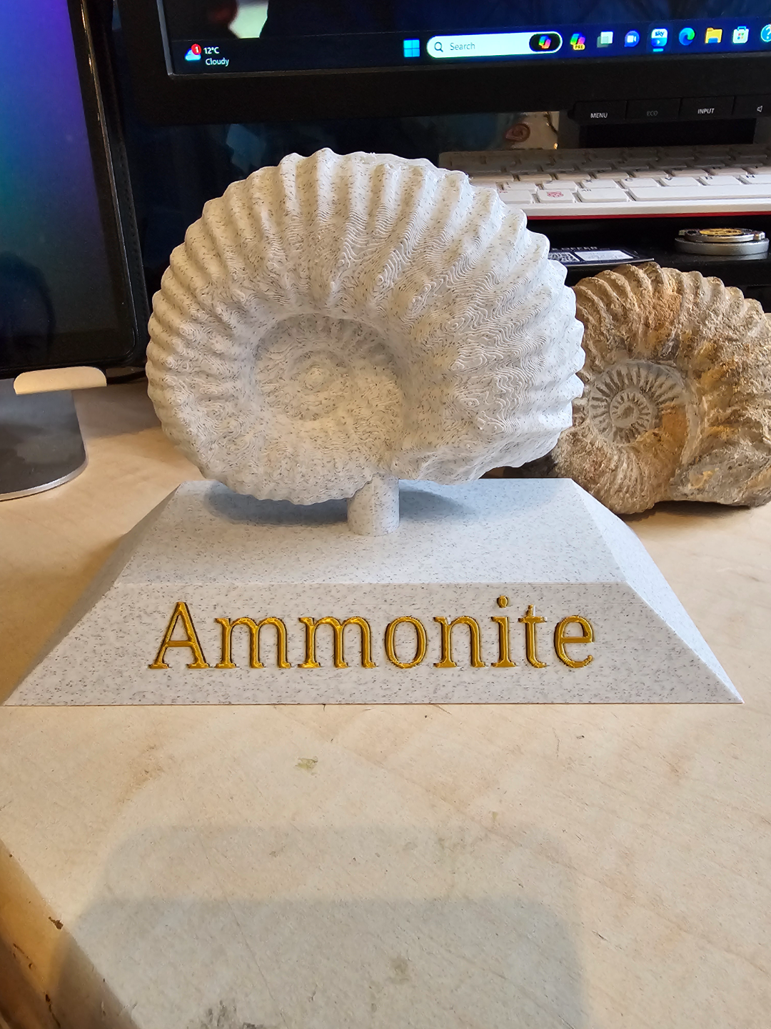 Fossil 3d scanned (ammonite)