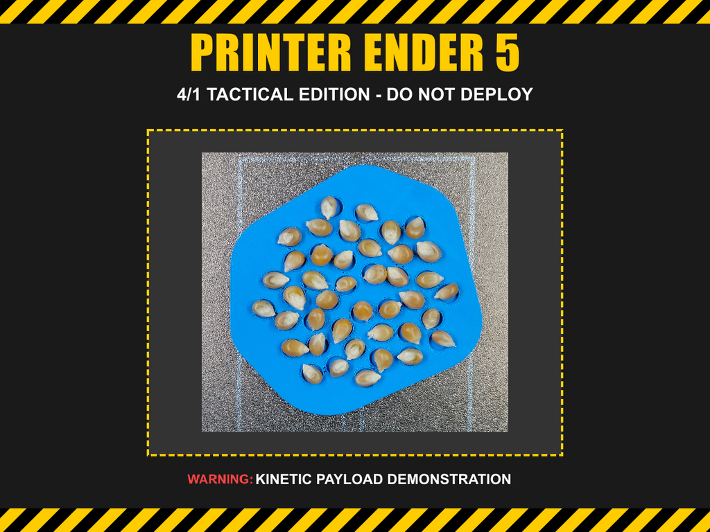 Printer Ender 5