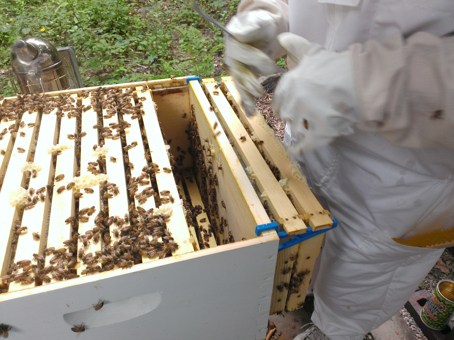Beehive Frame Hook