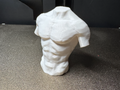 Low poly male torso (free to sell!)