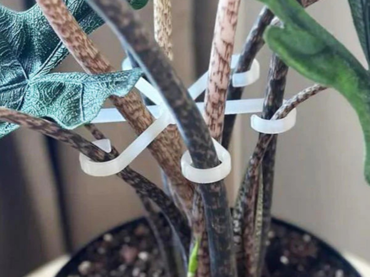 Flower hook (plant support)