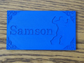 Samson Decal Name Plate Beautiful - For Vex Robot