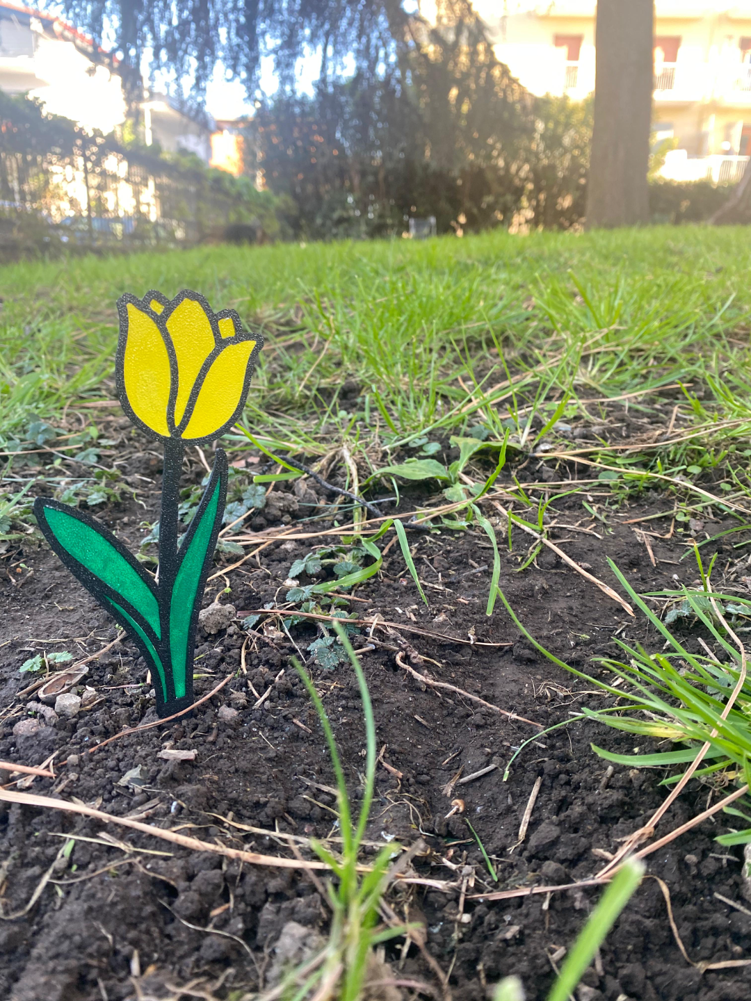 Modular Tulip