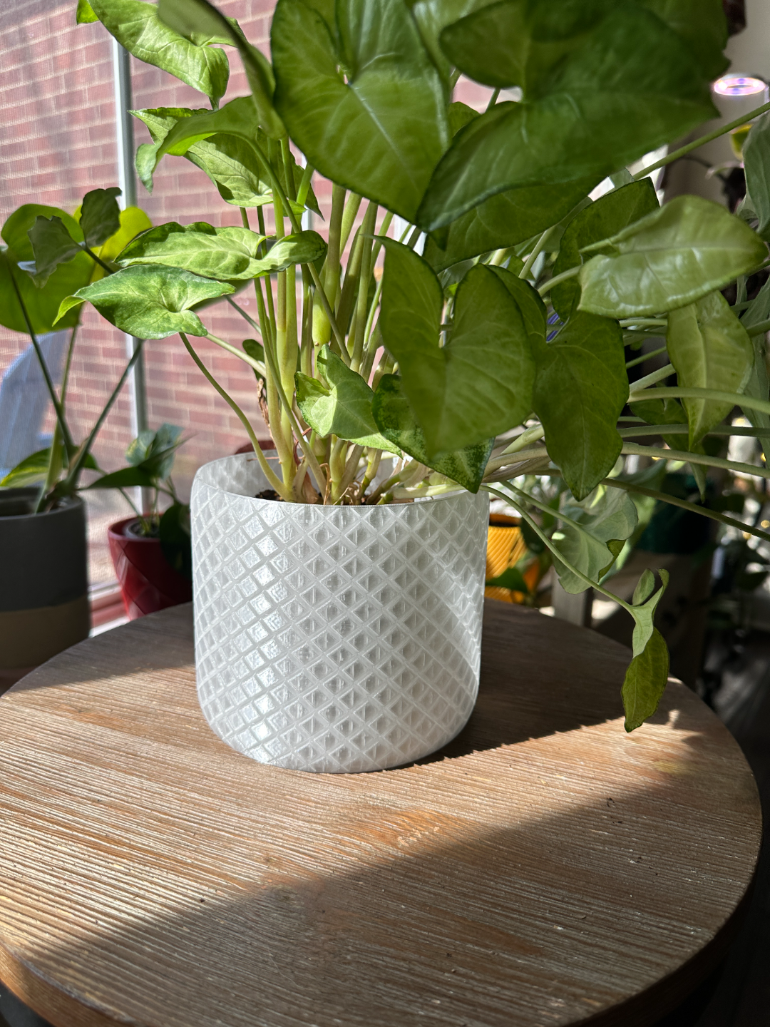 Planter with crossing