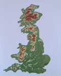 Terrain Map - Colored - UK