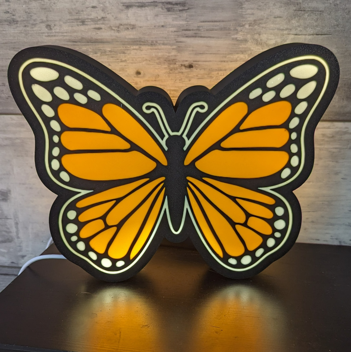 Monarch Butterfly Lightbox